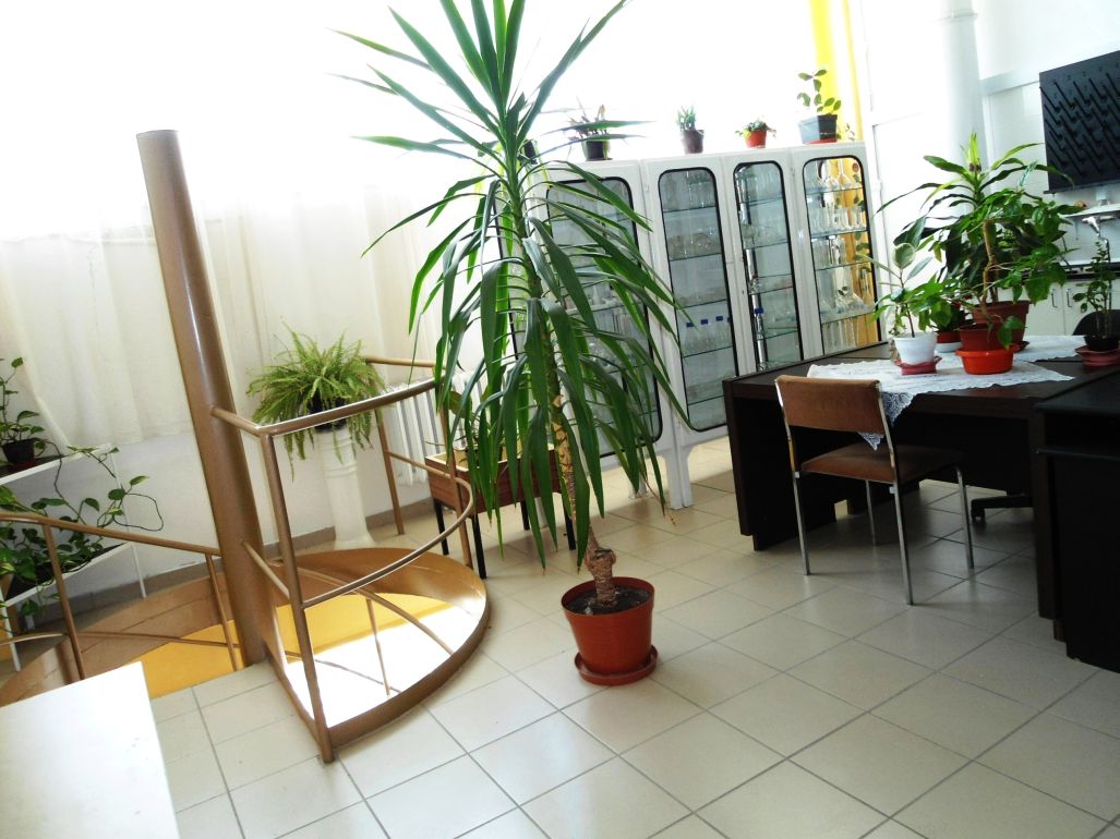 Laboratórium életképek